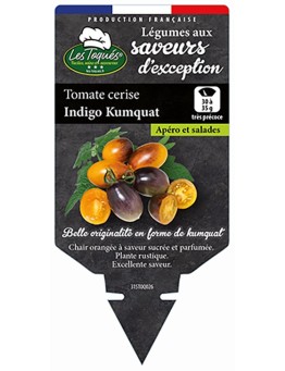 TOMATE CERISE INDIGO KUMQUAT