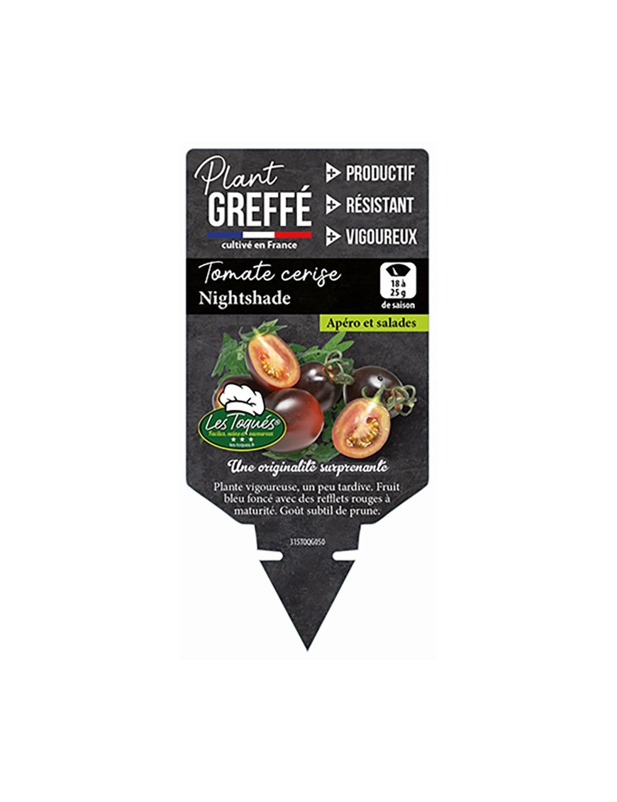 TOMATE CERISE NIGHTSHADE