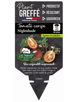 TOMATE CERISE NIGHTSHADE  PLANT GREFFÉ
