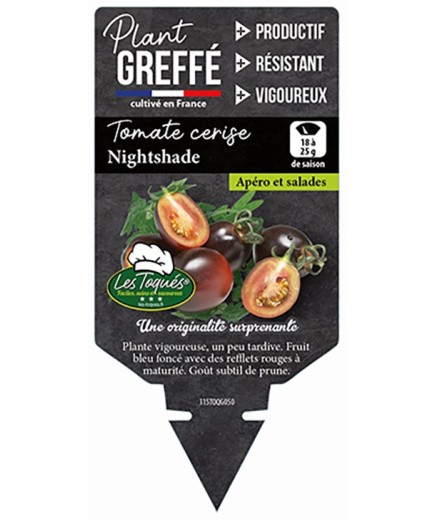 TOMATE CERISE NIGHTSHADE  PLANT GREFFÉ