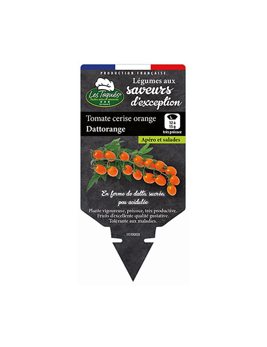 TOMATE CERISE ORANGE DATTORANGE