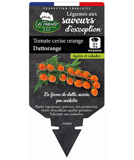 TOMATE CERISE ORANGE DATTORANGE