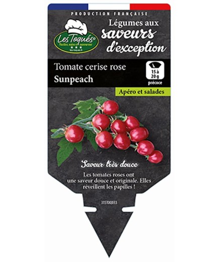 TOMATE CERISE ROSE SUNPEACH