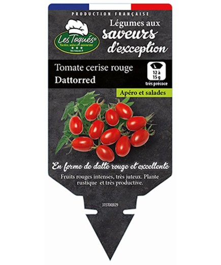 TOMATE CERISE ROUGE DATTORED