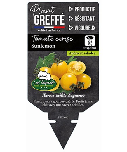 TOMATE CERISE SUNLEMON  PLANT GREFFÉ