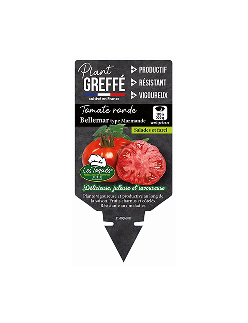 TOMATE RONDE BELLEMAR TYPE MARMANDE PLANT GREFFÉ