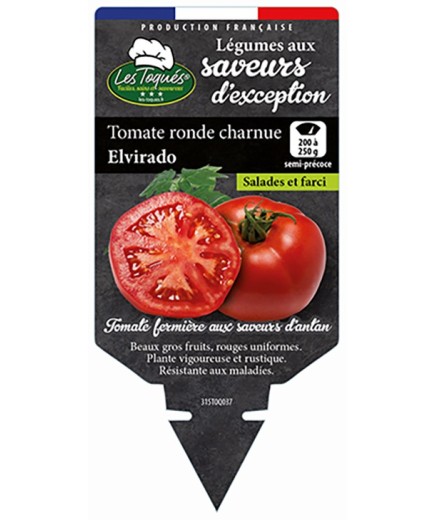 TOMATE RONDE CHARNUE ELVIRADO