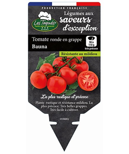 TOMATE RONDE EN GRAPPE BAUNA