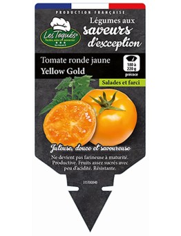 TOMATE RONDE JAUNE YELLOW GOLD