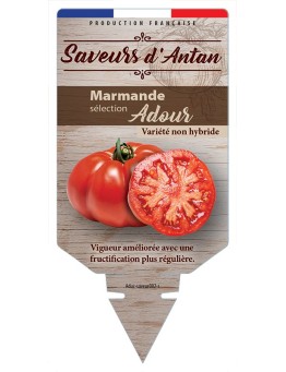 TOMATE MARMANDE SÉLECTION ADOUR