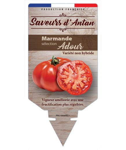 TOMATE MARMANDE SÉLECTION ADOUR