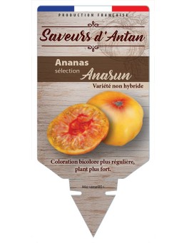 TOMATE ANANAS SÉLECTION ANASUN