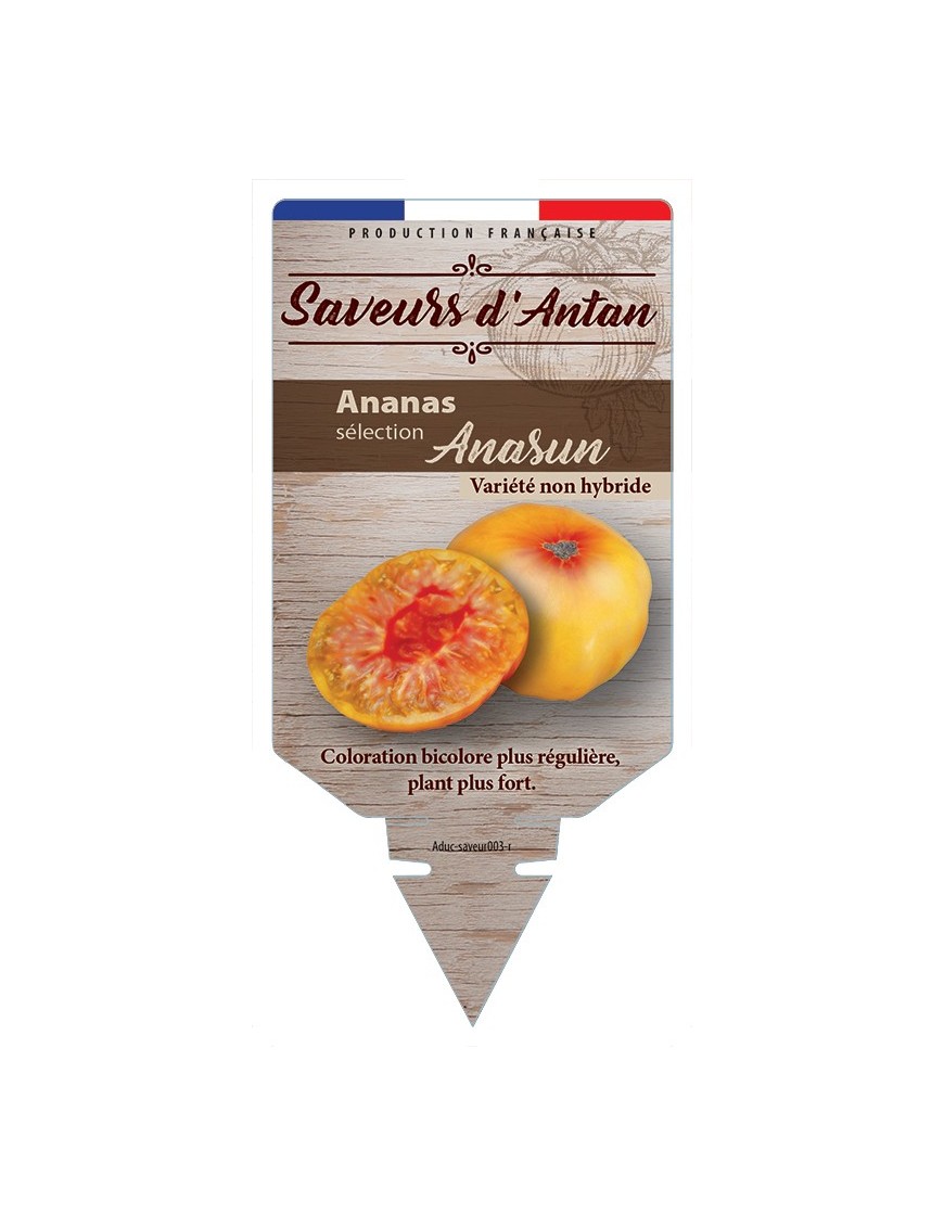 TOMATE ANANAS SÉLECTION ANASUN