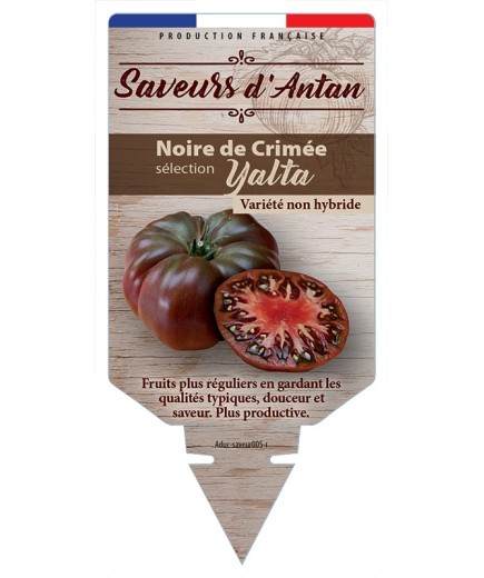 TOMATE NOIRE DE CRIMÉE SÉLECTION YALTA
