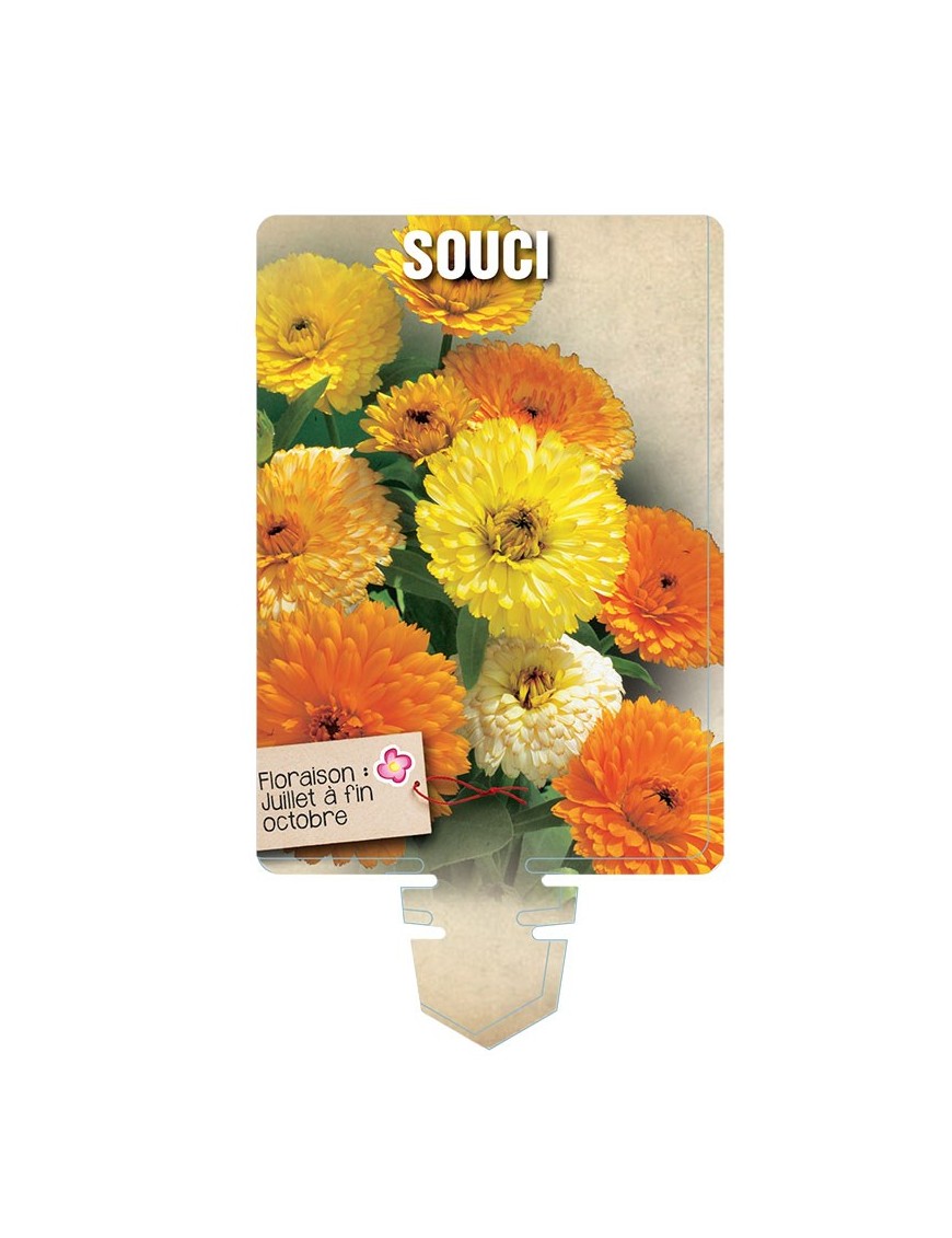 SOUCI FIESTA GITANA (varié) *