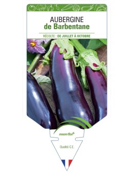 AUBERGINE DE BARBENTANE