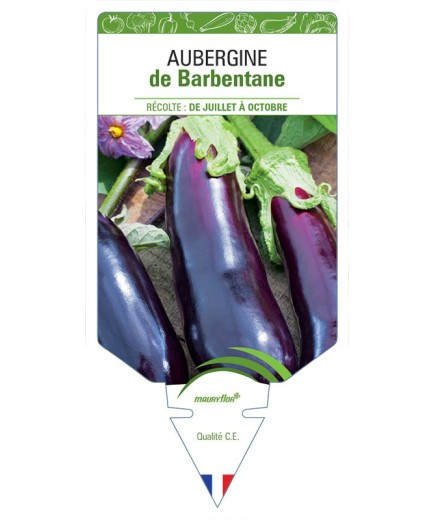 AUBERGINE DE BARBENTANE