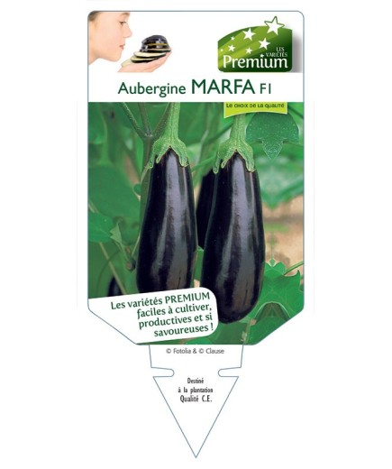 AUBERGINE (longue) MARFA F1