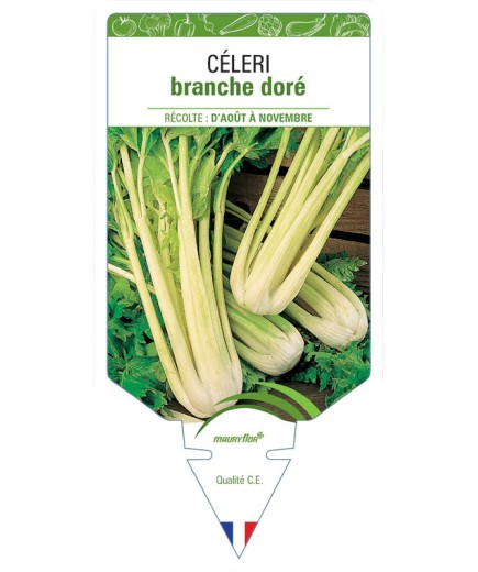 CÉLERI BRANCHE DORÉ