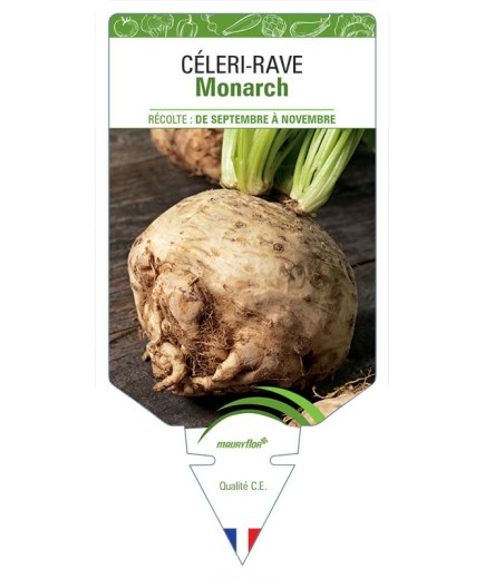 CÉLERI RAVE MONARCH