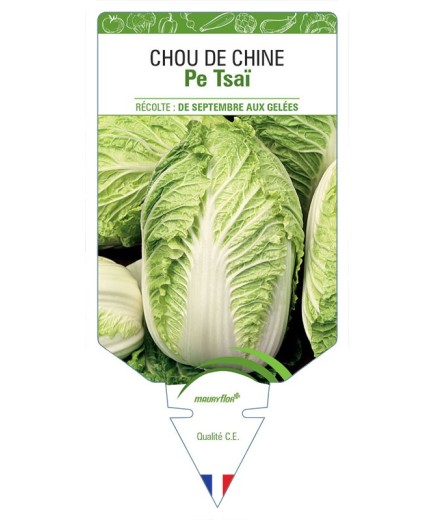 CHOU DE CHINE PE-TSAÏ *