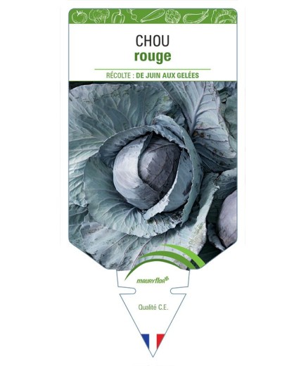 CHOU ROUGE