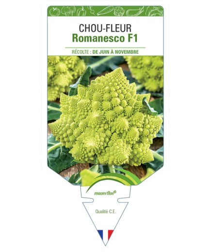 CHOU-FLEUR ROMANESCO F1