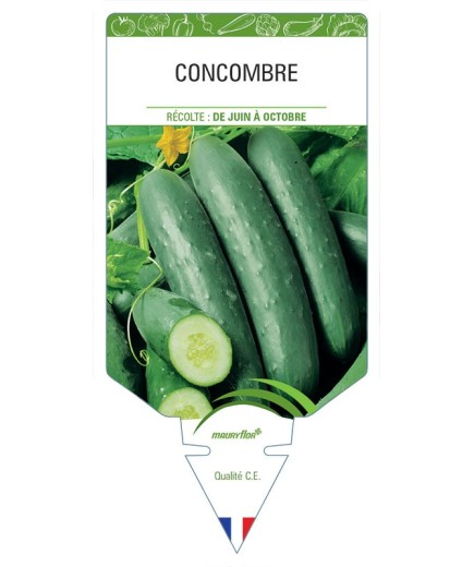 CONCOMBRE