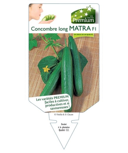 CONCOMBRE long MATRA F1