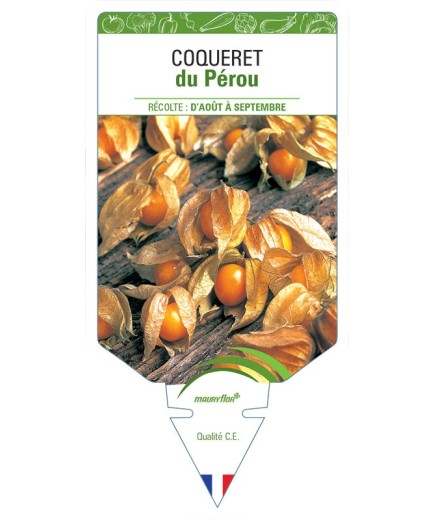 COQUERET DU PÉROU *