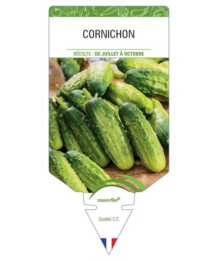 CORNICHON