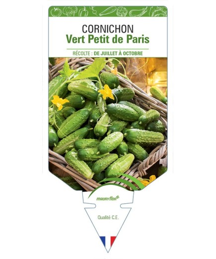 CORNICHON VERT PETIT DE PARIS