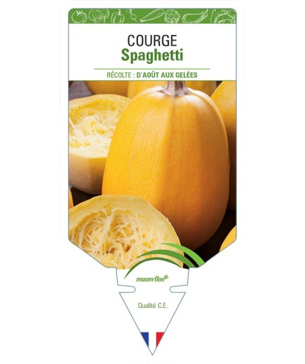 COURGE SPAGHETTI