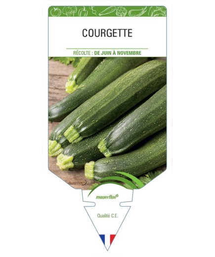 COURGETTE
