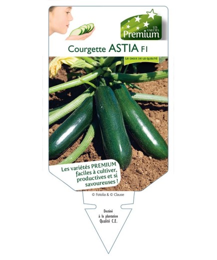 COURGETTE ASTIA F1