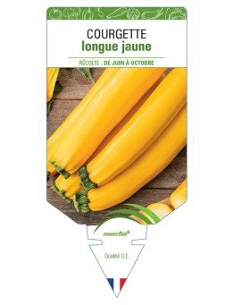 COURGETTE LONGUE JAUNE
