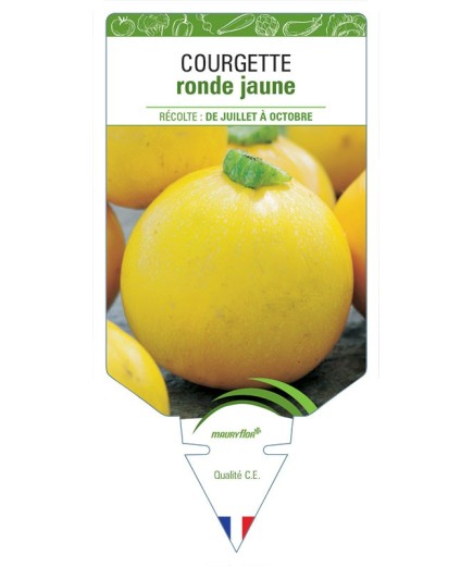 COURGETTE RONDE JAUNE