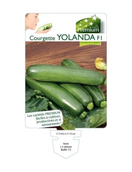 COURGETTE YOLANDA F1 *