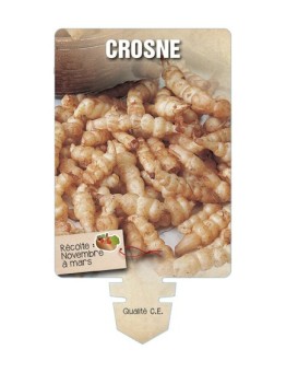 CROSNE *