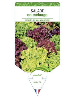 (Laitue) SALADES EN MÉLANGE