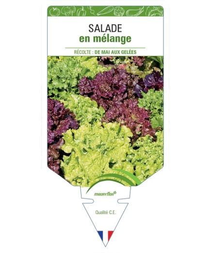 (Laitue) SALADES EN MÉLANGE