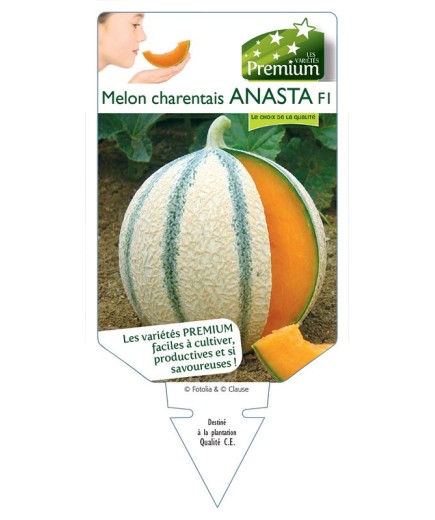 MELON CHARENTAIS ANASTA F1