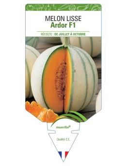 MELON ARDOR F1