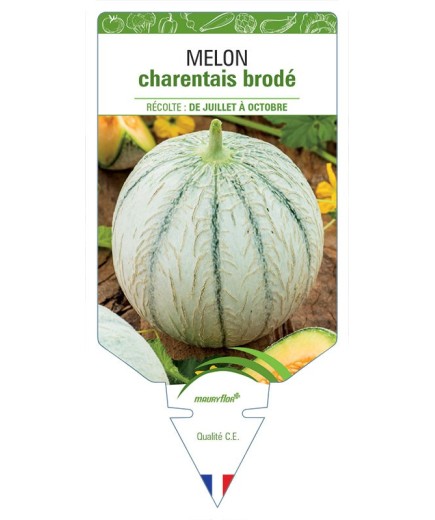 MELON CHARENTAIS BRODÉ