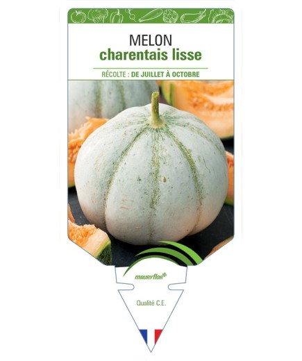 MELON CHARENTAIS LISSE
