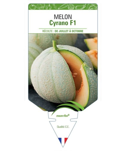 MELON CYRANO F1
