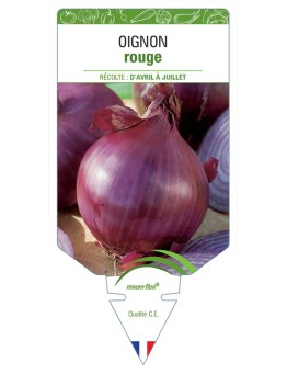 OIGNON ROUGE