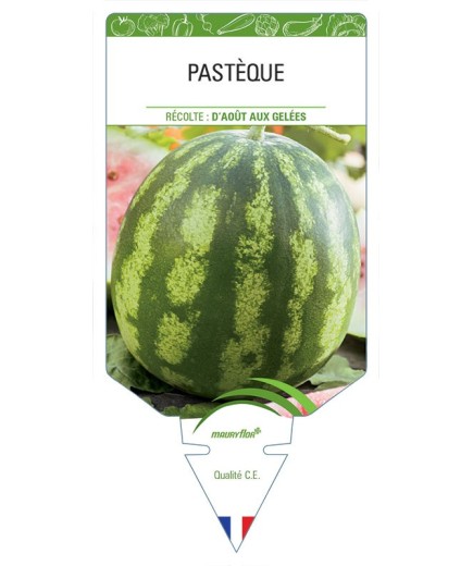 PASTÈQUE