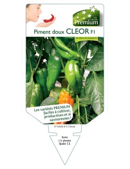 PIMENT DOUX CLEOR