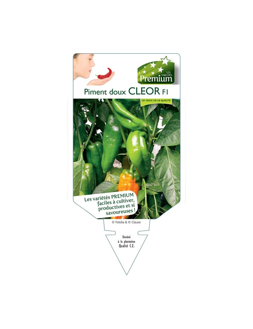 PIMENT DOUX CLEOR